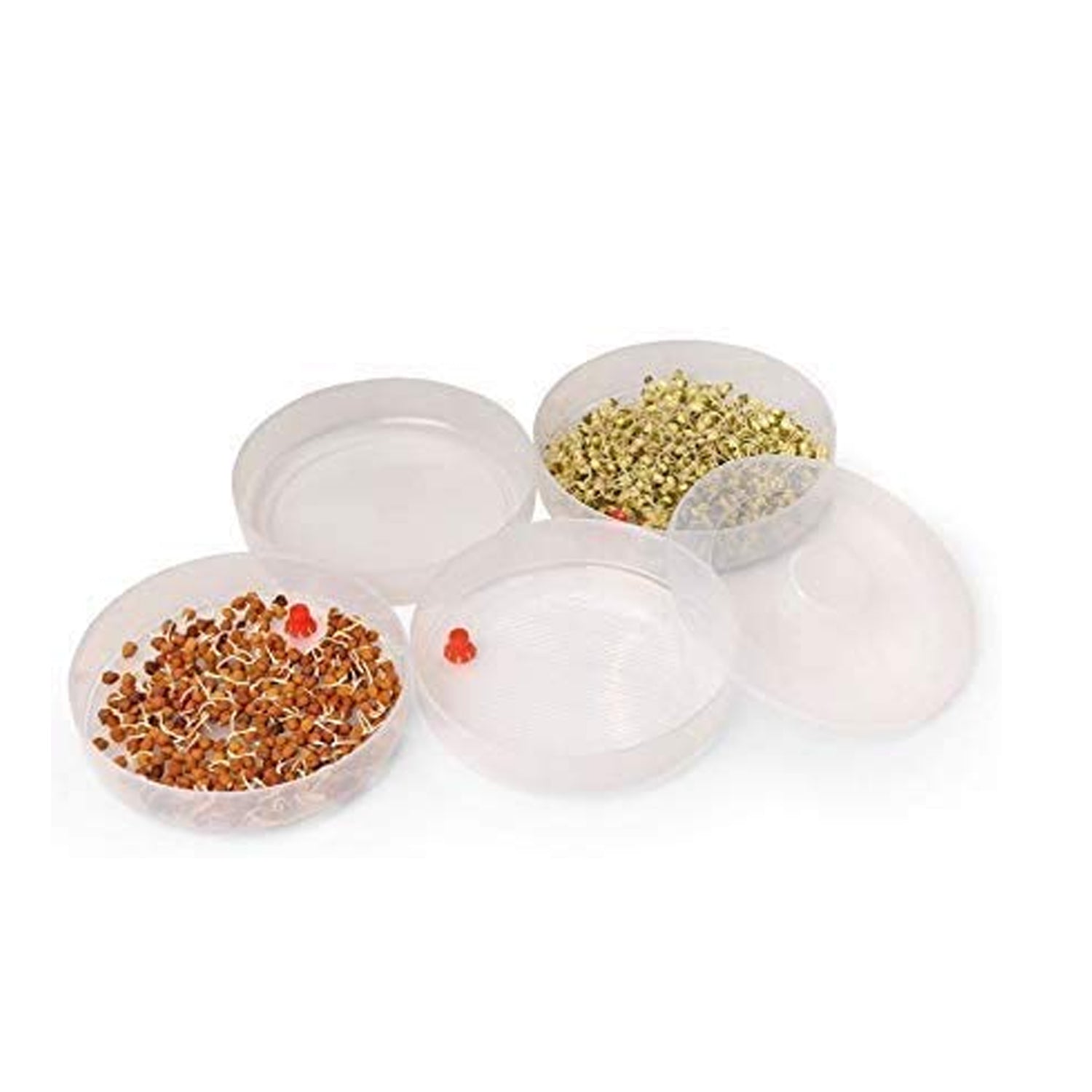 070 Plastic 4 Compartment Sprout Maker, White TOSS