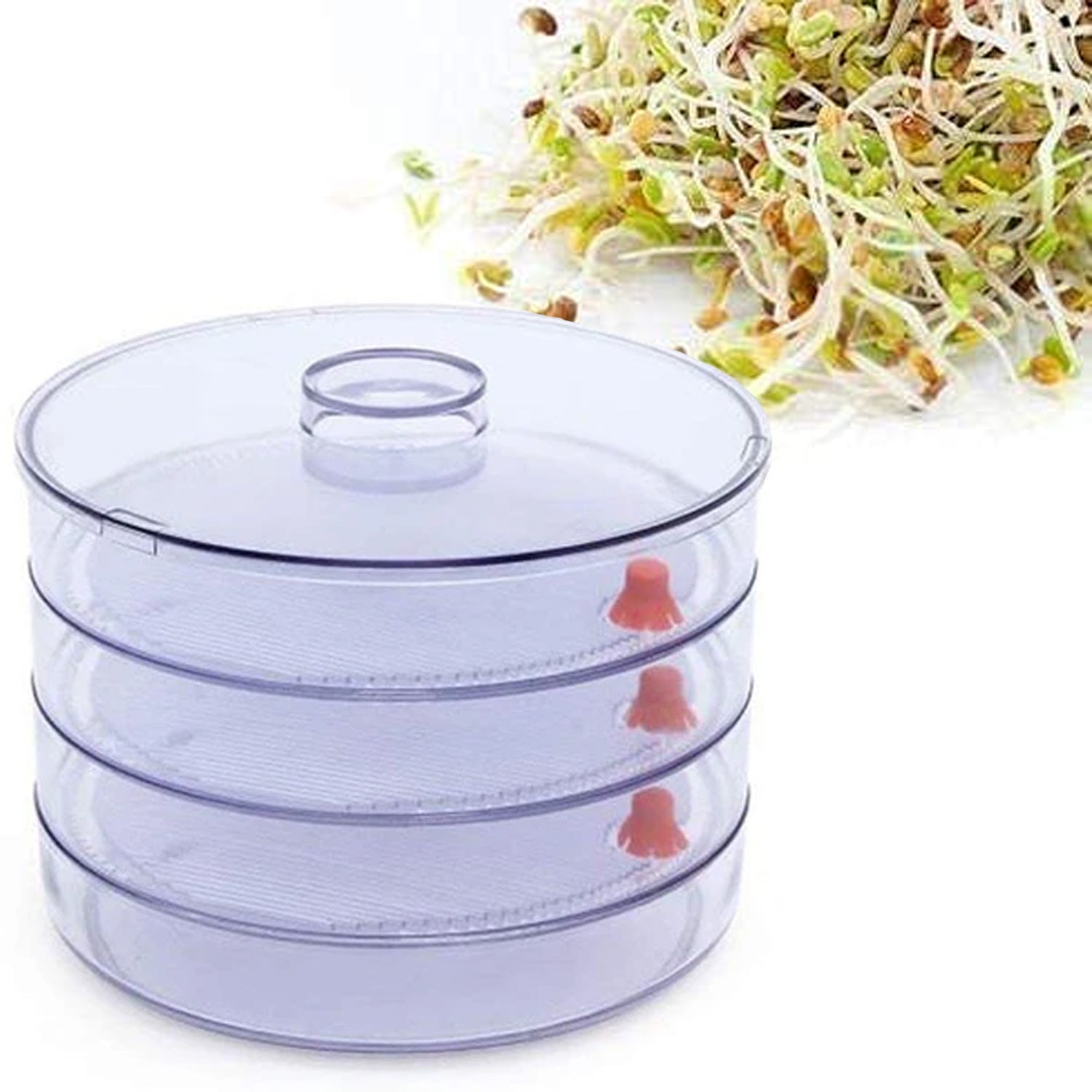 070 Plastic 4 Compartment Sprout Maker, White TOSS